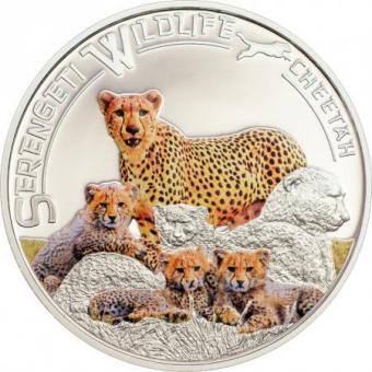 1000 Schillings 2013 Tanzania - Serengeti Wildlife - Cheetah 